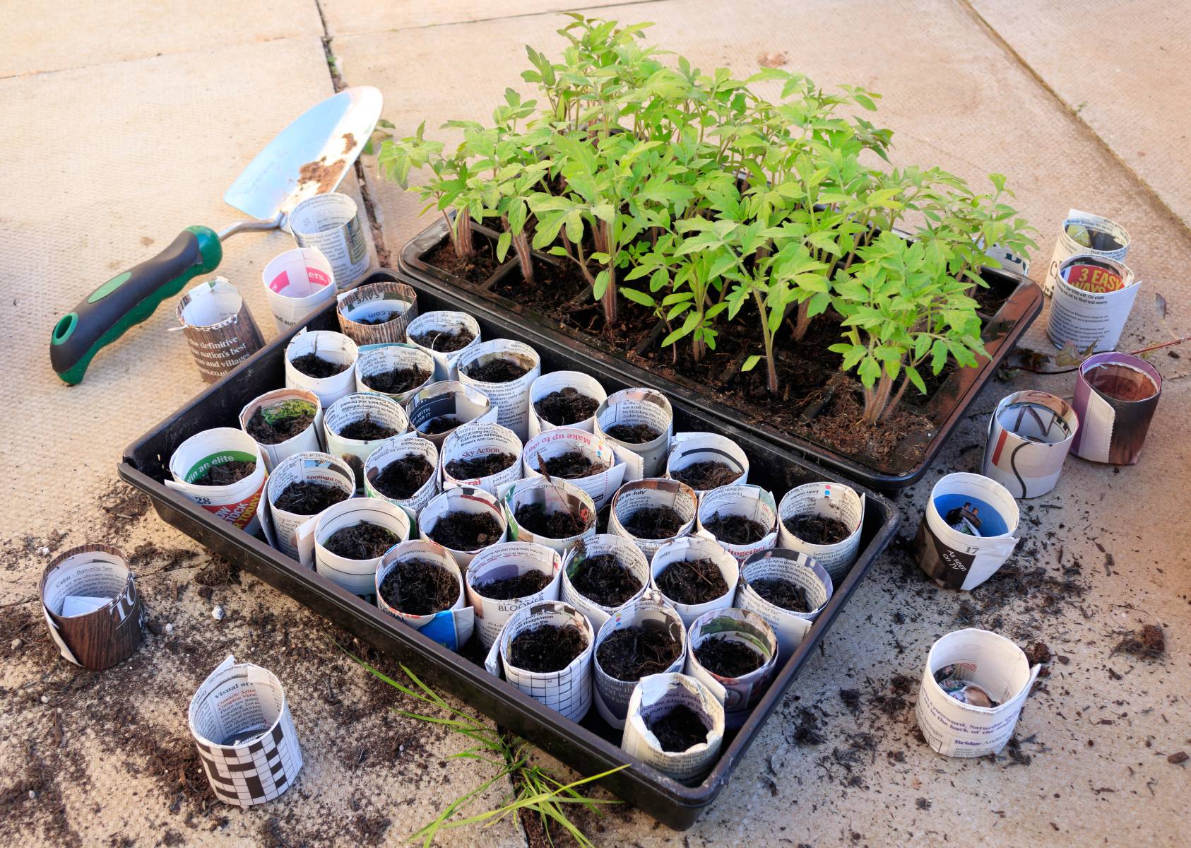 How to Make Newspaper Pots Mother Earth News